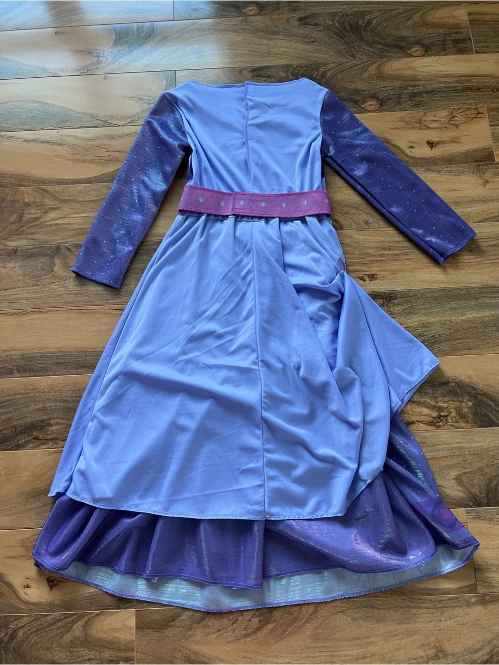Disney Wish Asha Deluxe Princess Dress Costume Girls 4-6X Disney Vacation NWT